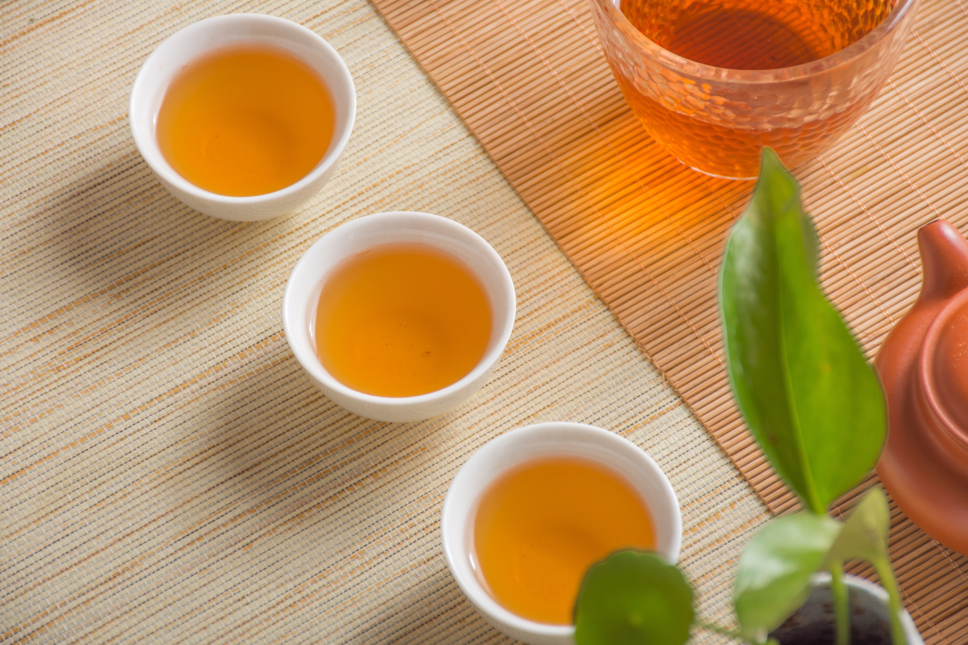 茶汤